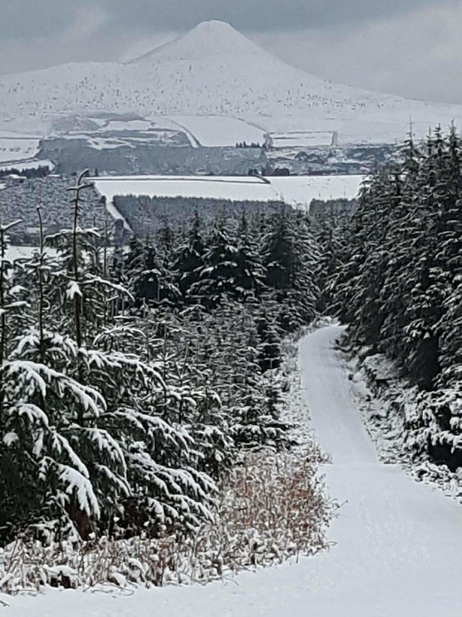 The Enniskerry Inn Bagian luar foto